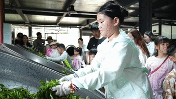 山河有约 风景正好